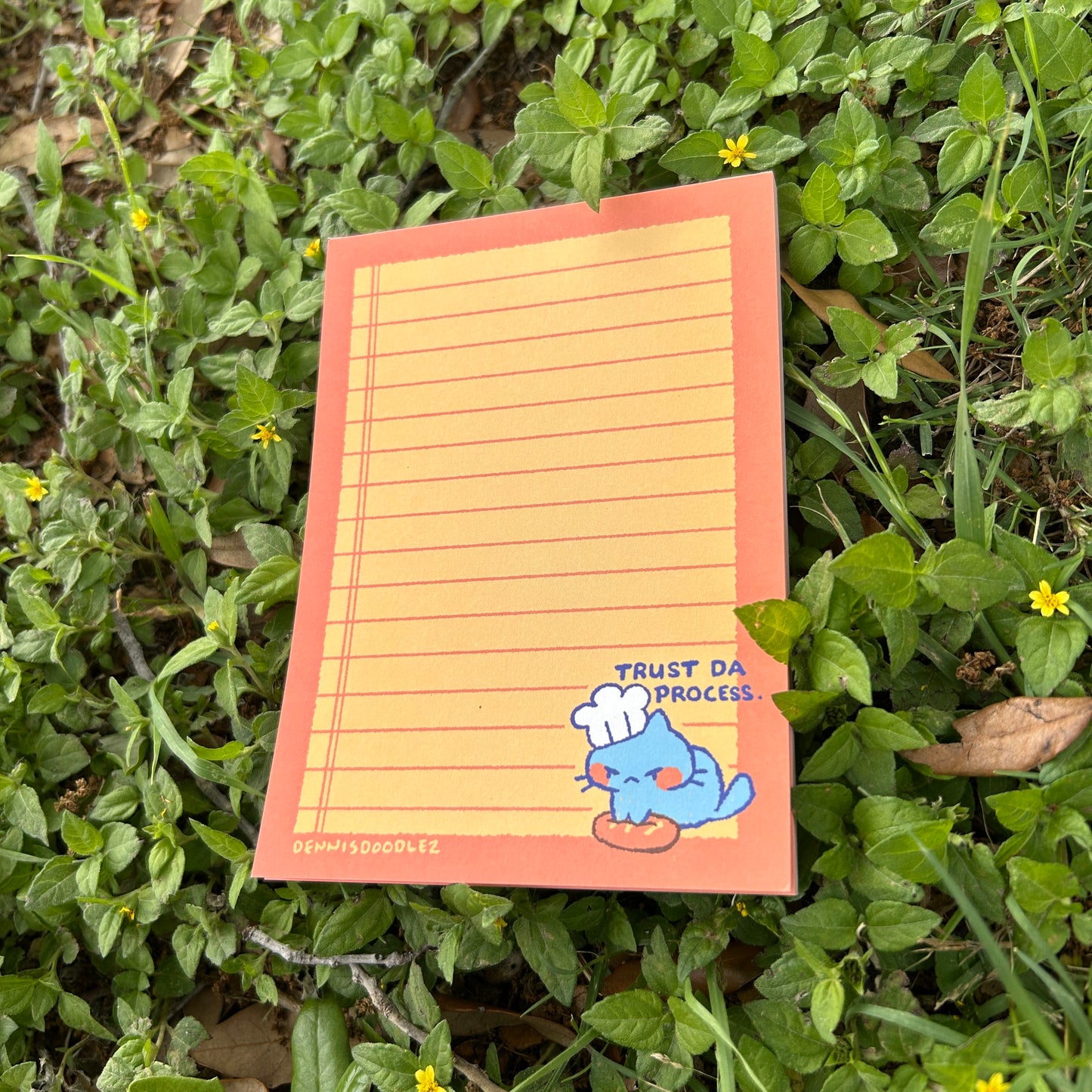 notepad (cat)